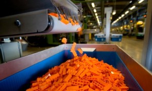 Toy blocks fall into bins at a Lego factory in Billund, Denmark. Photograph: David McLain/Corbis
