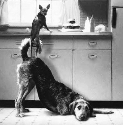 Speaking of collaboration... Image source: http://macd1214y.wordpress.com/2012/10/14/collaboration/